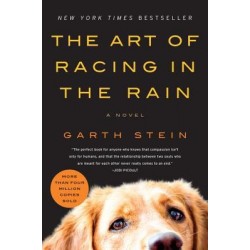 The Art of Racing in the Rain by Garth Stein