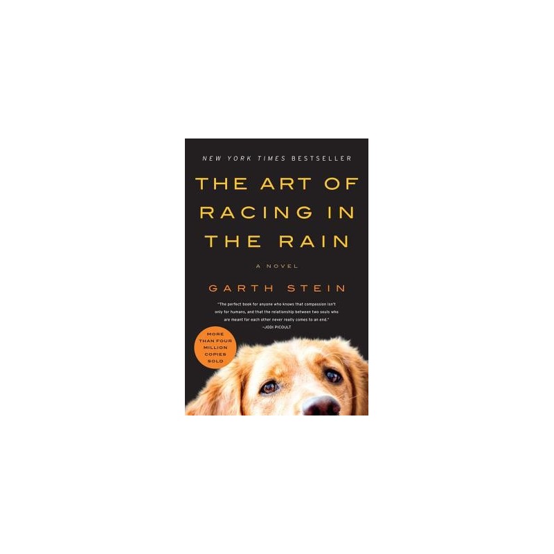 The Art of Racing in the Rain by Garth Stein